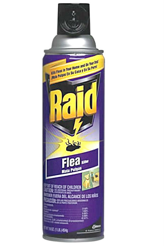 Buy the Raid 51656 Flea Killer 16 oz Spray Hardware World