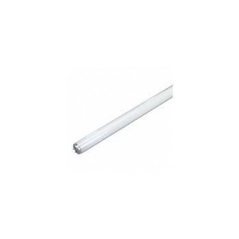 Fluorescent Bulb, T12 ~ 30 inch