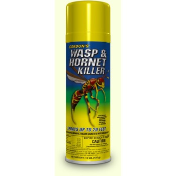 Wasp & Hornet Spray - 15 ounce
