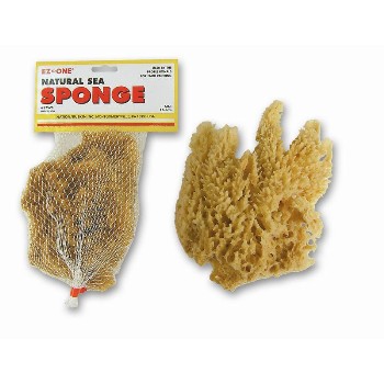 6in. Wool Sea Sponge