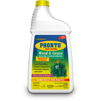 Weed/Grass Killer Concentrate, Quart