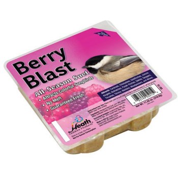 Berry Blast Suet Cake ~ 11.5 oz