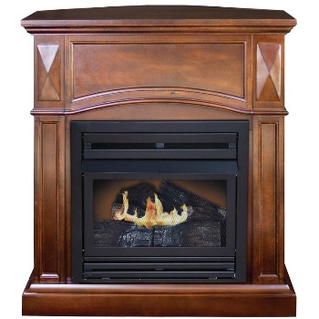 Windsor Gas Fireplace