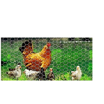 Poultry Hex Netting 36" x 150 Ft ~  2" x 20 Gauge 