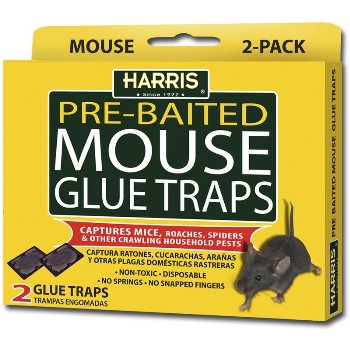 2 Pk Mouse Glue Trap