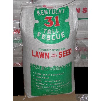 Fescue Grass Seed - Kentucky 31  - 50 lb bag