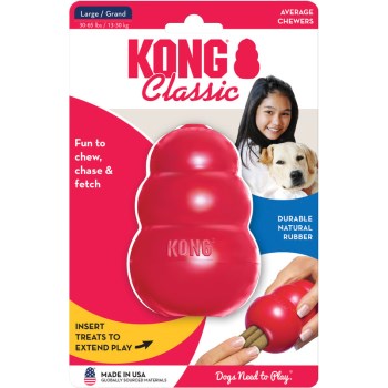Large Kong Toy