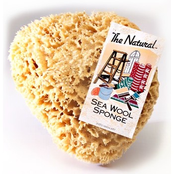 Sea Wool Natural Sponge - 10 to 11" Cut Size