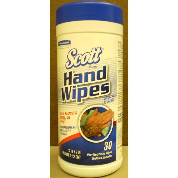 Pre-Moistened Hand Wipes