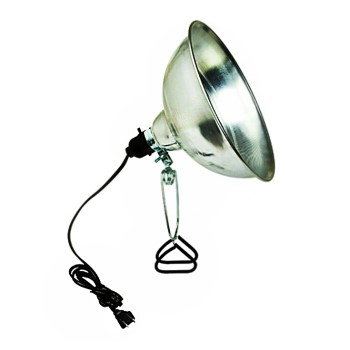 Brooder/Heat Clamp-on Reflector Lamp ~ 10"
