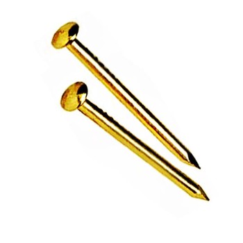 Escutcheon Pins - Brass - 18 Gauge - 1 inch