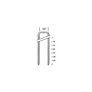 Galvanized Staples - 1.5 inch