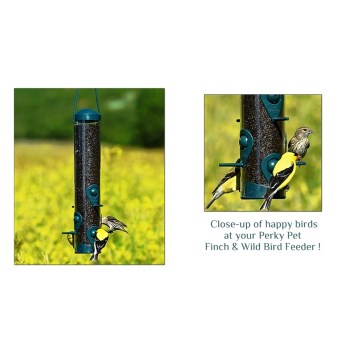 PerkyPet Brand Bird Feeder, Sierra Design for Finch & Wild Birds ~ 1.8 lb Seed Capacity