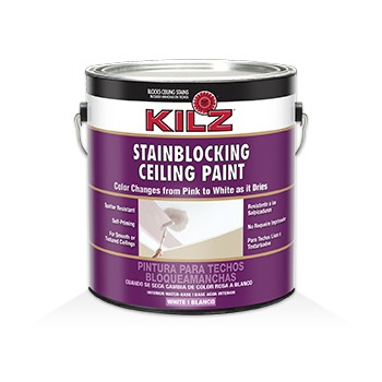 Ceiling Paint - Stain Blocking - 1 Gallon 