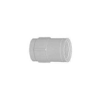 PVC Threaded Coupling, 3/4 inch 