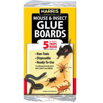 Mouse/Bug/Snake Glue Board