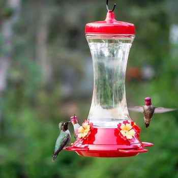 Perky Pet Glass Hummingbird Feeder,  4 Ports  ~ 20 oz Capacity 