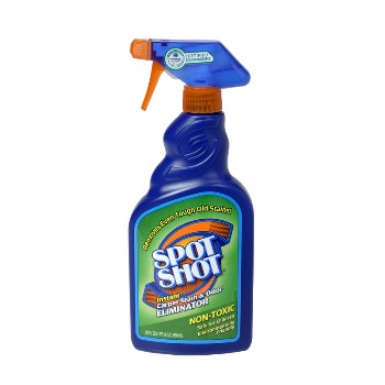 Carpet Stain & Odor Eliminator ~ Spray, 22 oz