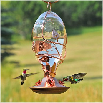 Hummingbird Feeder, Glass - 32 ounce
