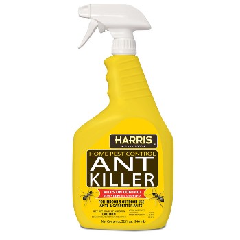 Ant Killer ~ Ready To Use Spray 