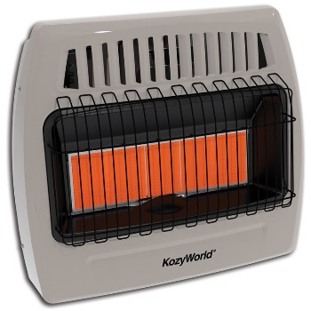 Wall Heater ~ Dual Gas Fuel, Vent Free
