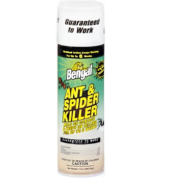 Ant & Spider Killer ~ 17oz Spray Can