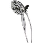 Delta In2ition 5-Setting Two-In-One Shower head (Chrome)