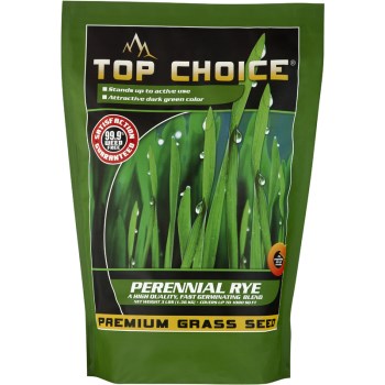 3lb Tc Perennial Rye