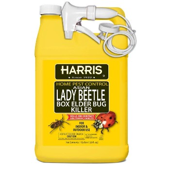 Lady Beetle & Boxelder Bug Killer ~ Gallon