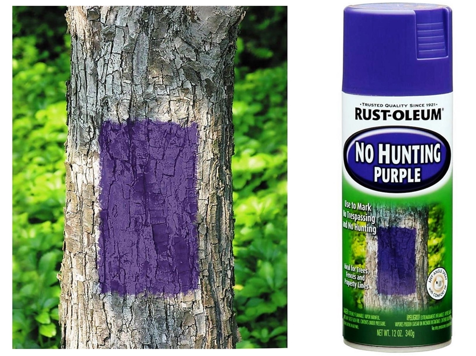 No Hunting Purple [Matte] Spray Paint ~ 12 oz Aerosol