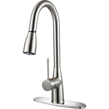 Gooseneck Kitchen Faucet ~ Brushed Nickel