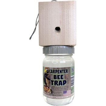 Carpenter Bee Trap