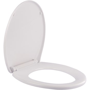 Slow Close Toilet Seat ~ White