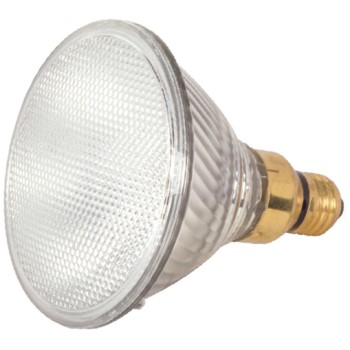 2 Pack Halogen PAR38 Bulb