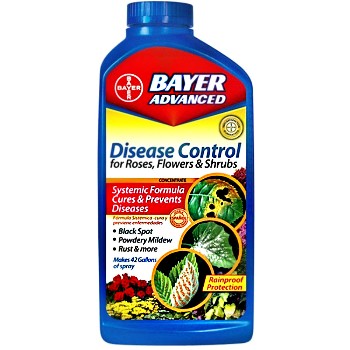 Bayer Advanced 701250B  Disease Control for Roses, Flowers & Shrubs ~ One Quart Concentrate