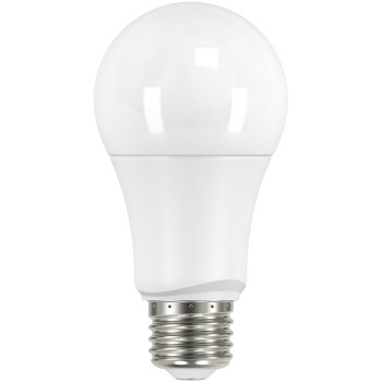 Led Type A Bulb