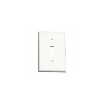 Oversize Wall Plate ~ White