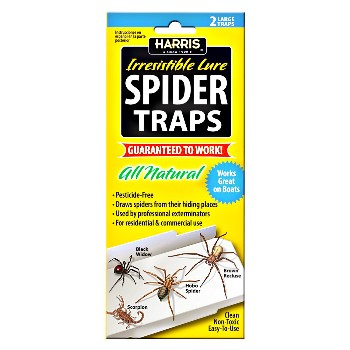 Harris  STRP  Spider Trap 2 Pack