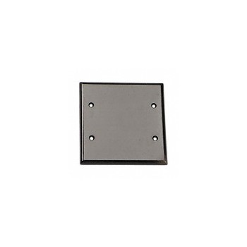 001-85025 2g Br Blank Plate
