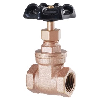 LDR Ind 022 1115 Lead-Free Gate Valve ~  1" FIP