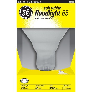 Indoor Floodlight, 65 watt 