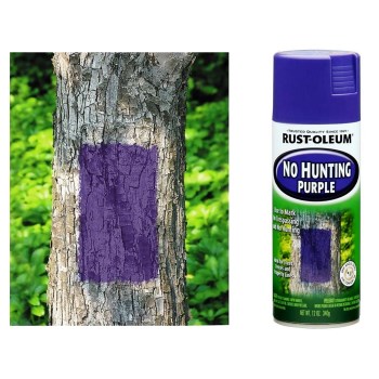 No Hunting Purple [Matte]  Spray Paint ~ 12 oz Aerosol