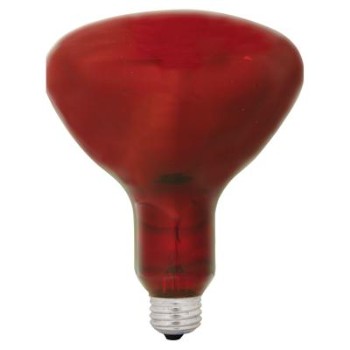 GE 37771 Bowl Heat Lamp, Red 250 watt 