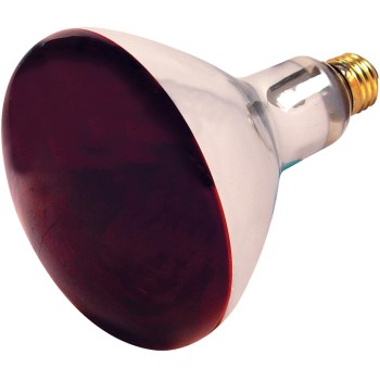 R40 Heat Lamp