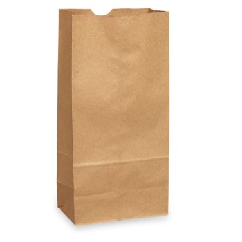Paper Bag - 5 pound size