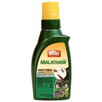 Insect Spray, Malathion - 32 oz