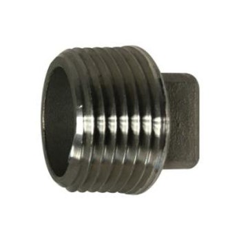 Cored Plug, Stainless Steel 304 - 1/4"