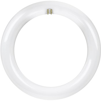 8 LED Circle Bulb