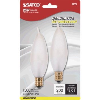 Incandescent Decorative Bulb