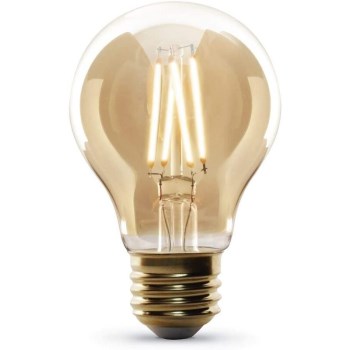 Vintage Bulb